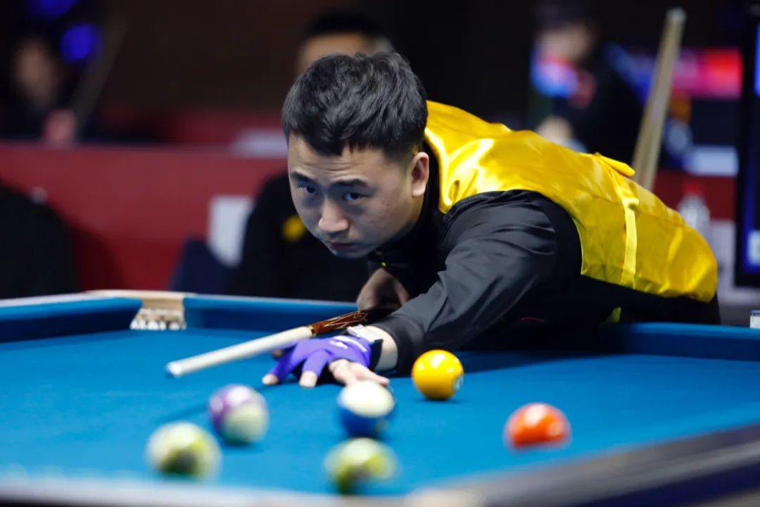 灰熊的年轻 灰熊的年轻